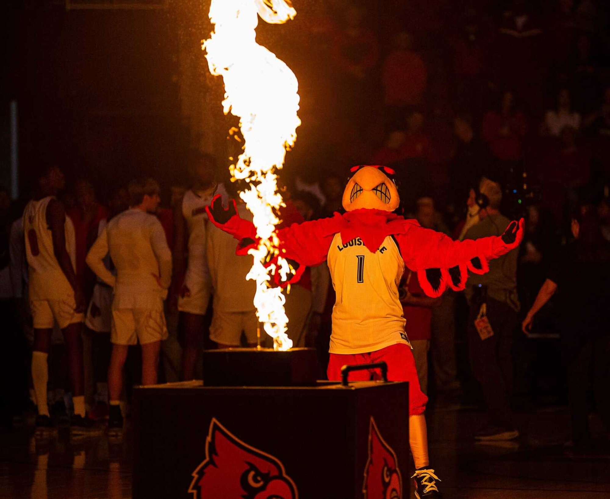 Louisville basketball: Transfer portal update. Who's trending to the  Cardinals? Vol. 4