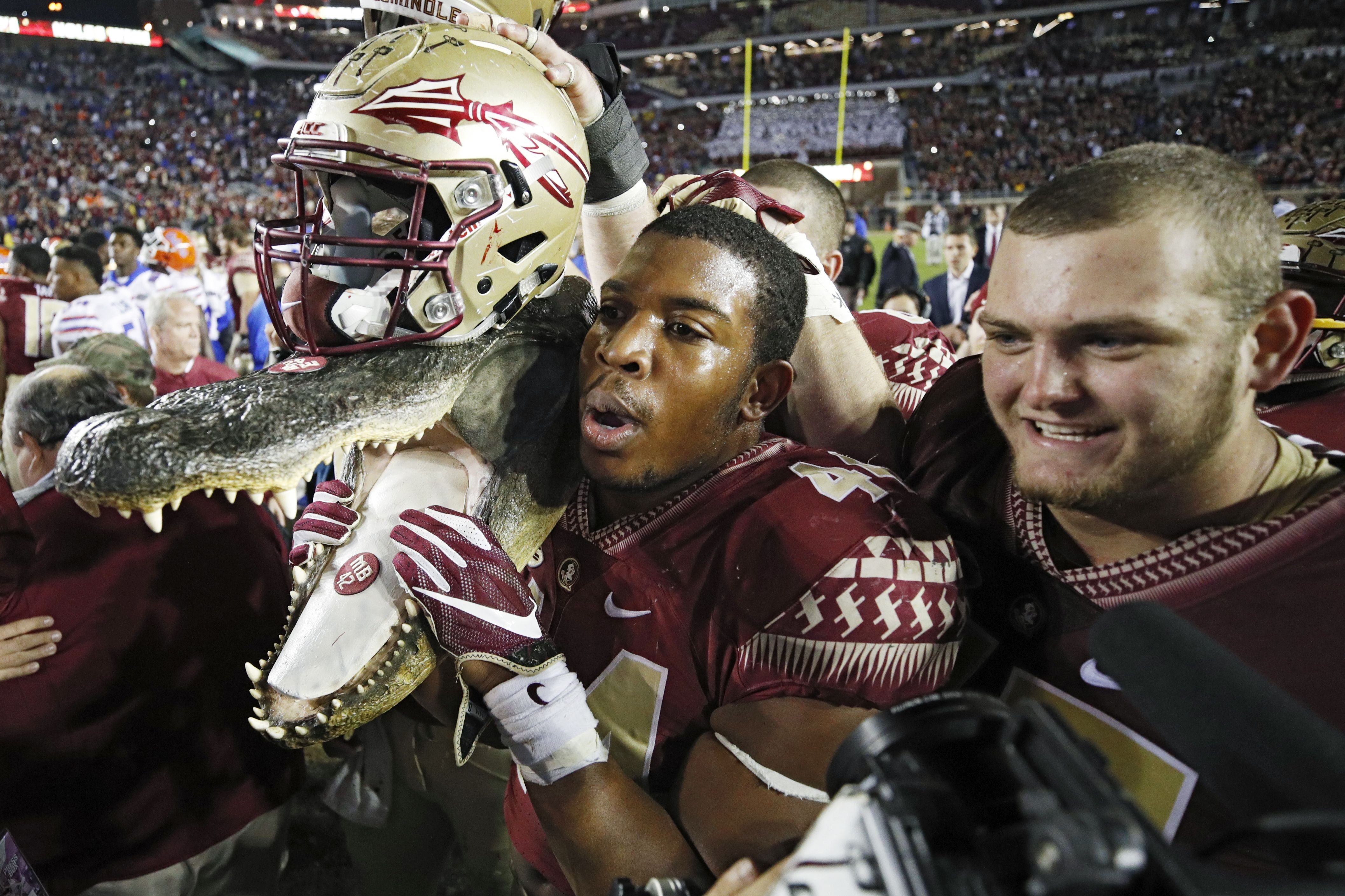 FSU Football Gator fans react to ‘Noles being favored to win in