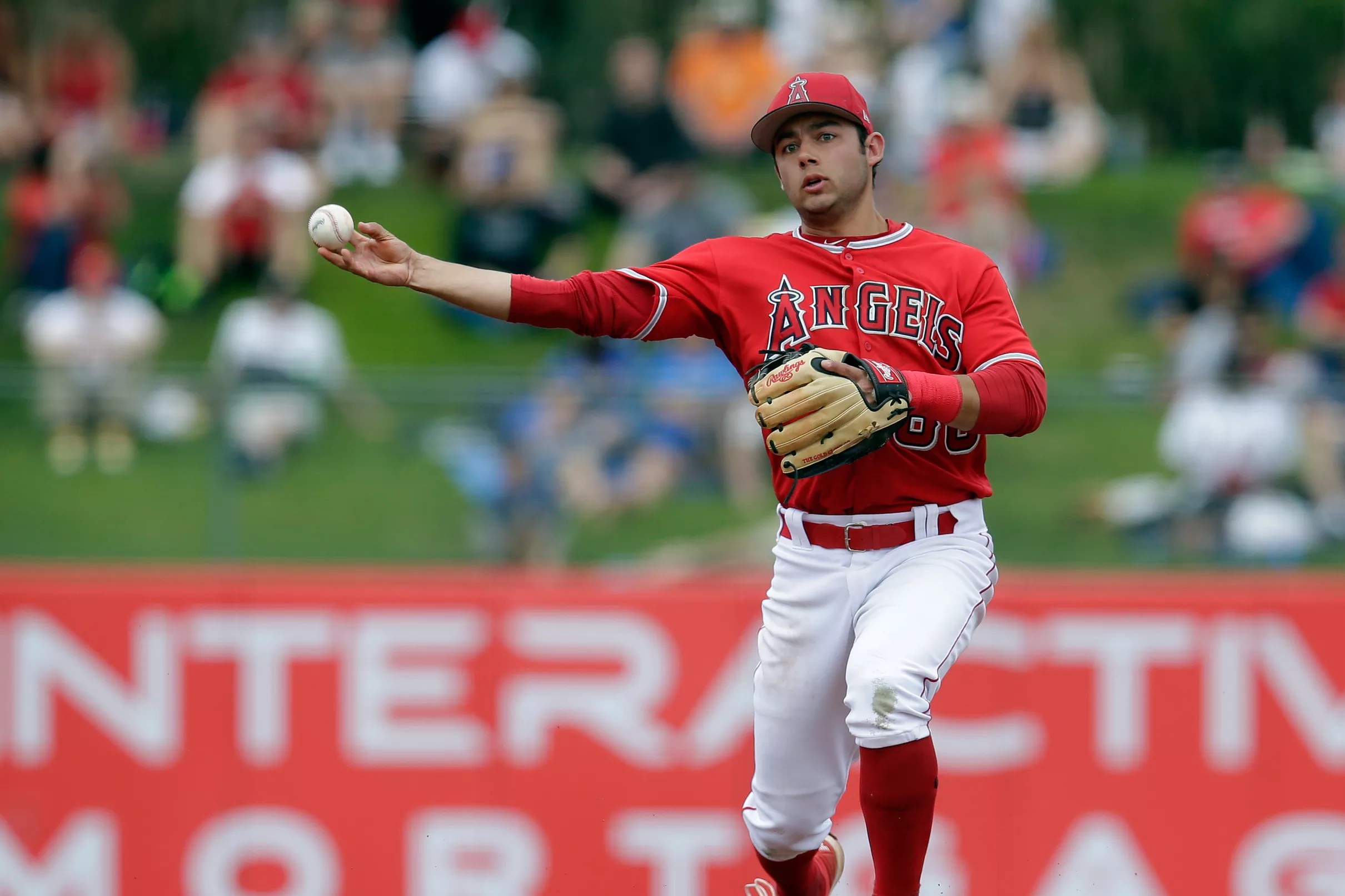 Catching Up with David Fletcher