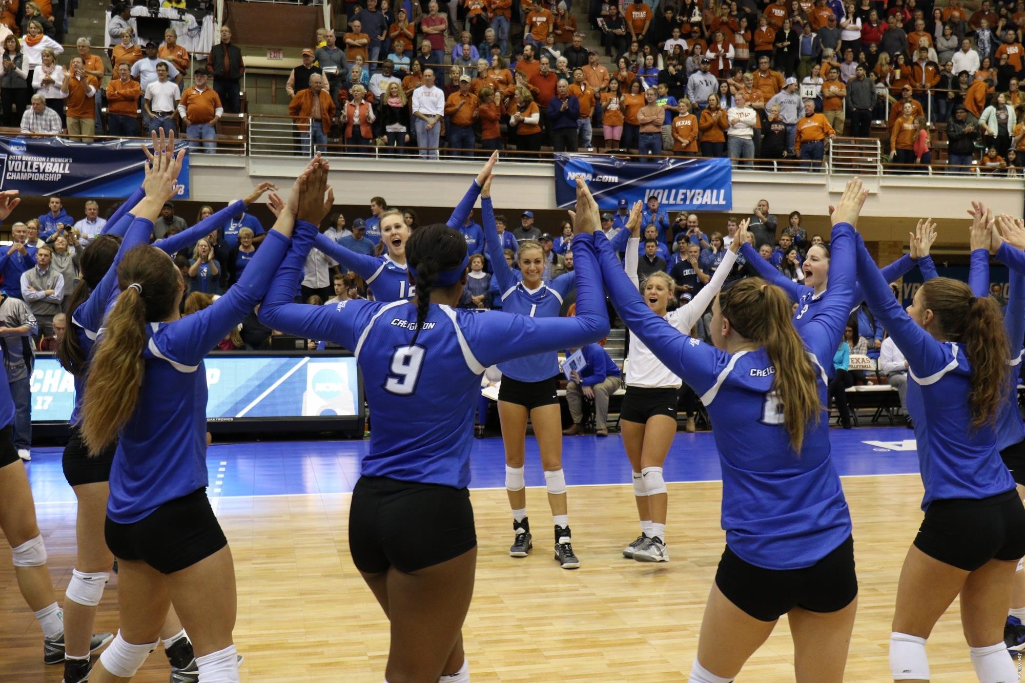 Volleyball Falls in Elite Eight Match at 5 Texas