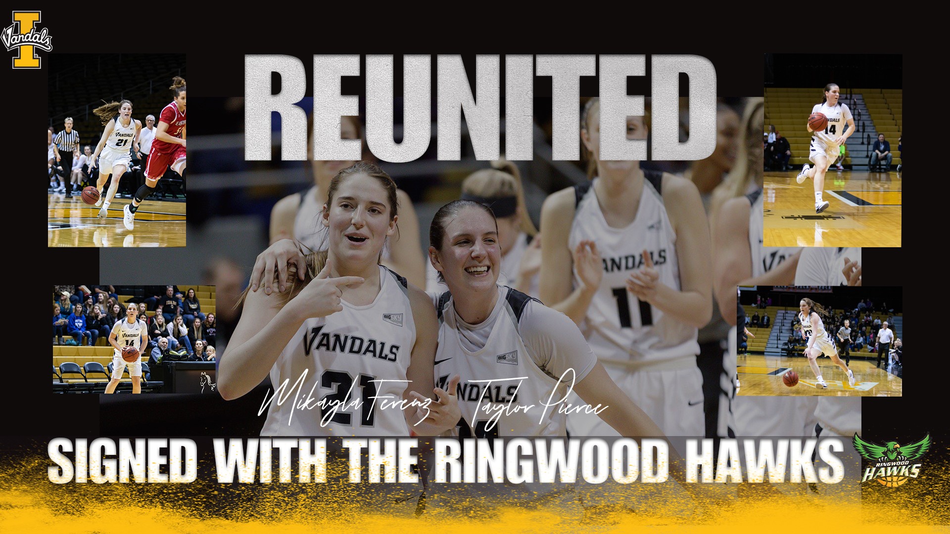 The Splash Sisters are back; Ferenz and Pierce sign with the Ringwood