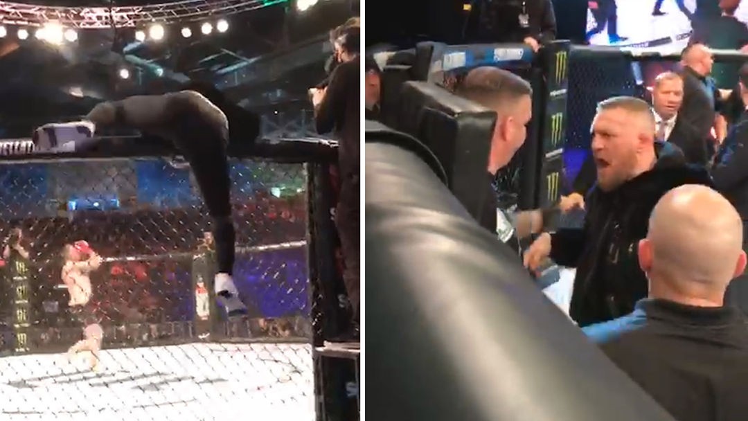 Slaps MMA Official, Pushes Ref