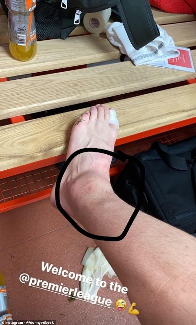 vans hurt back of ankle