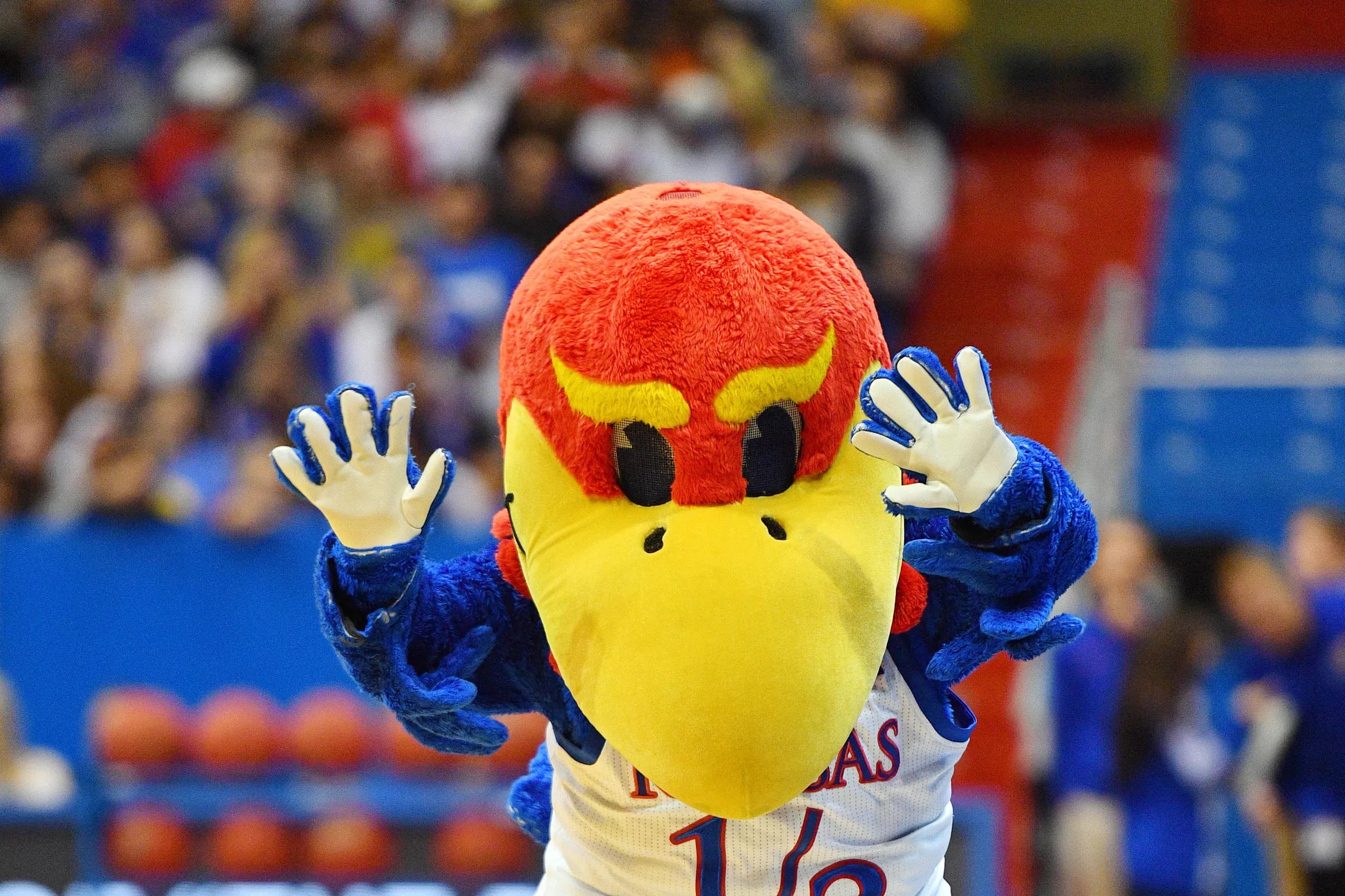 east-tennessee-state-at-kansas-open-game-thread