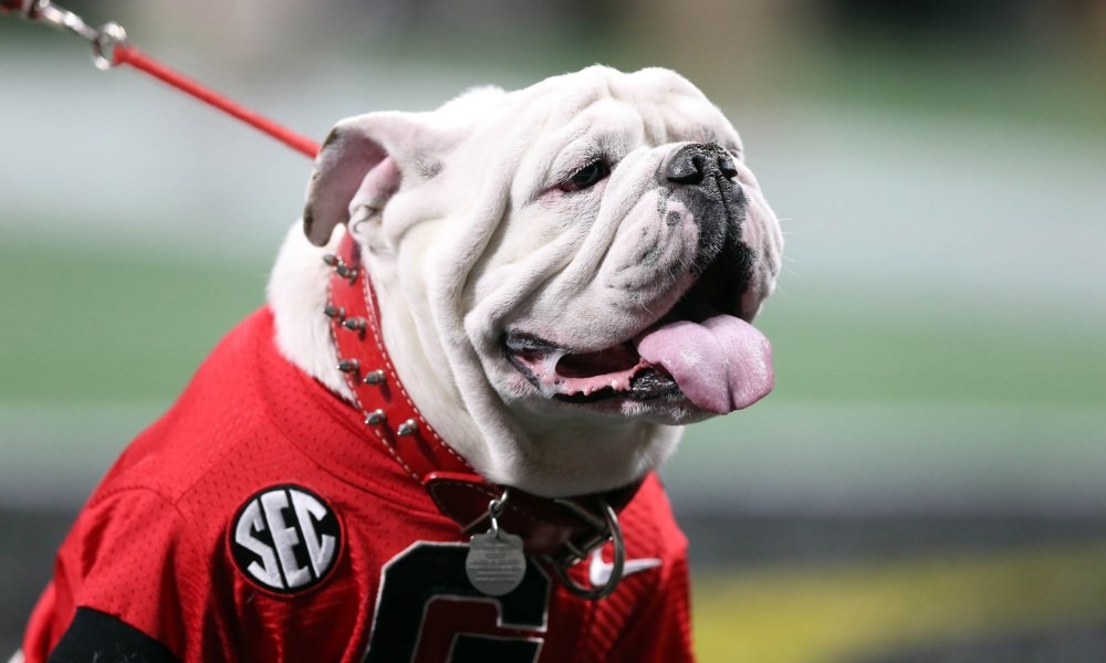 cbs-sports-expert-picks-uga-to-win-national-championship