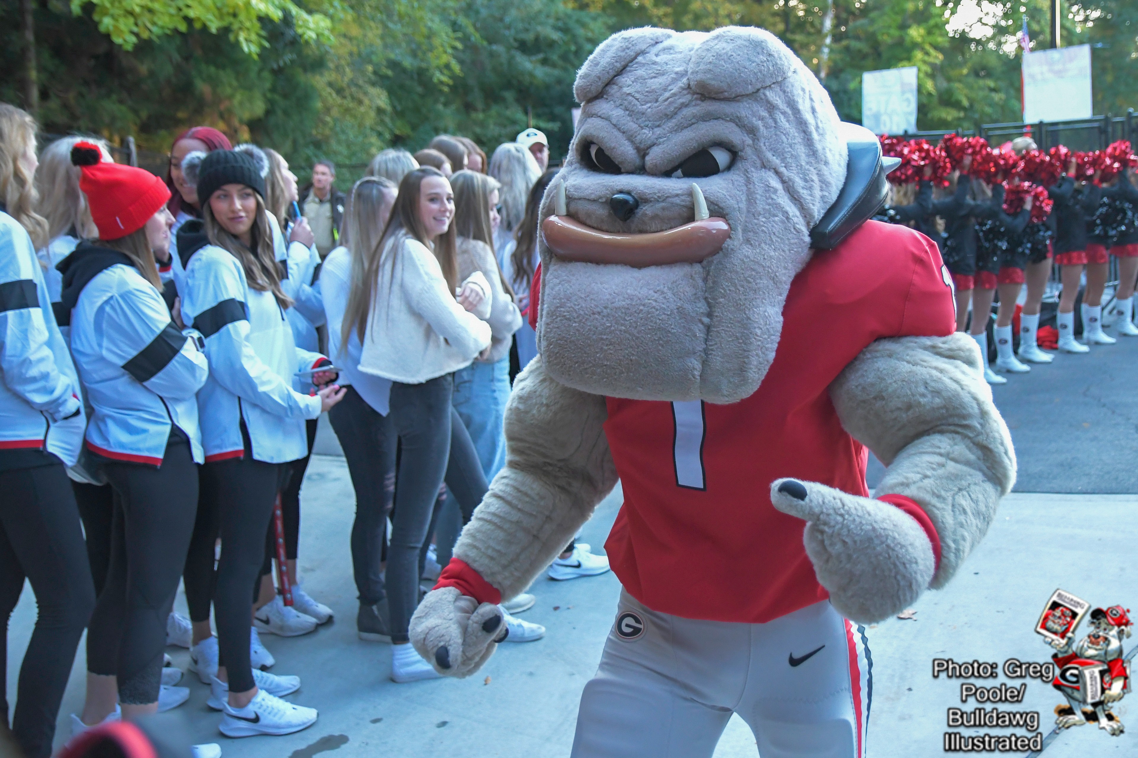 Dawg Walk Photo Gallery & Video 2019 vs. Missouri