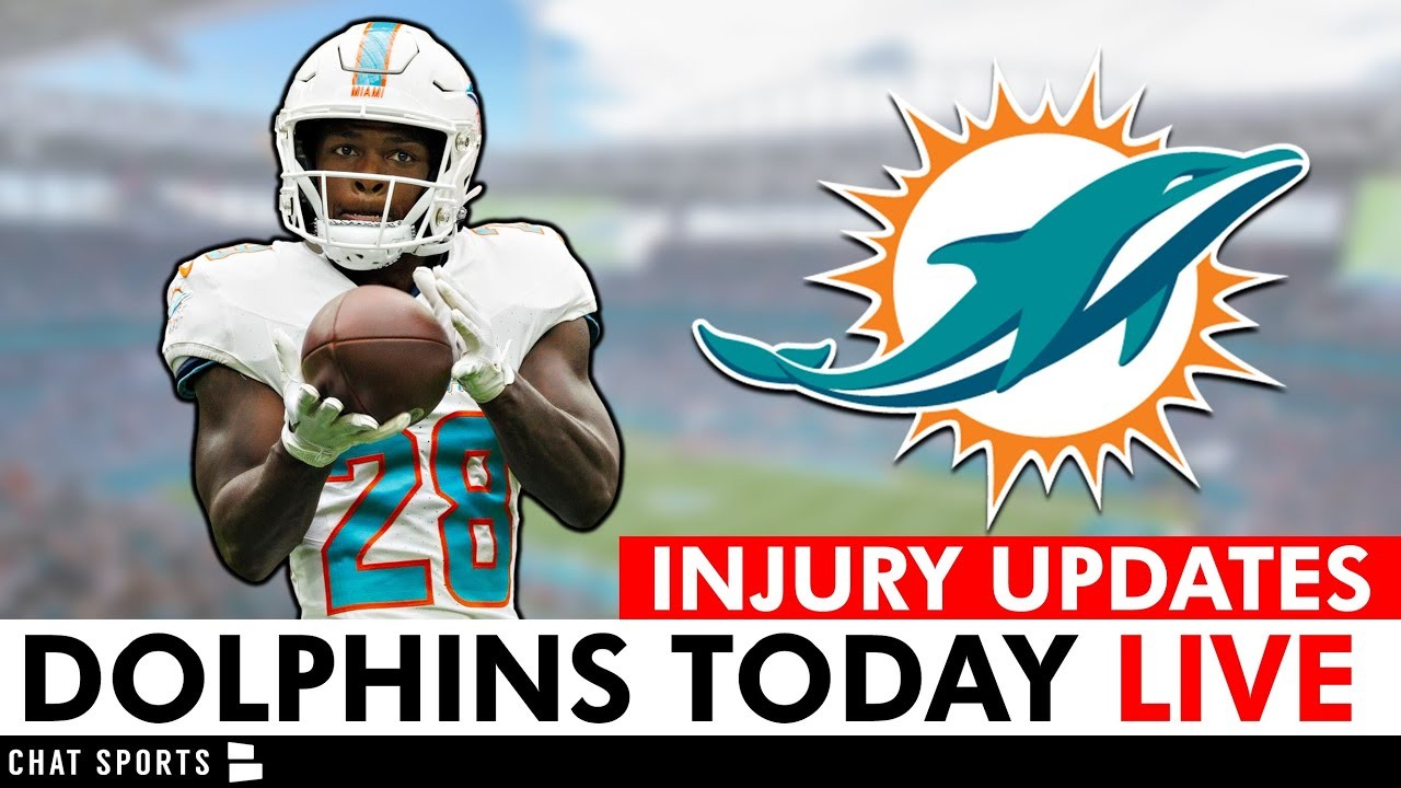 Dolphins Today by Chat Sports 