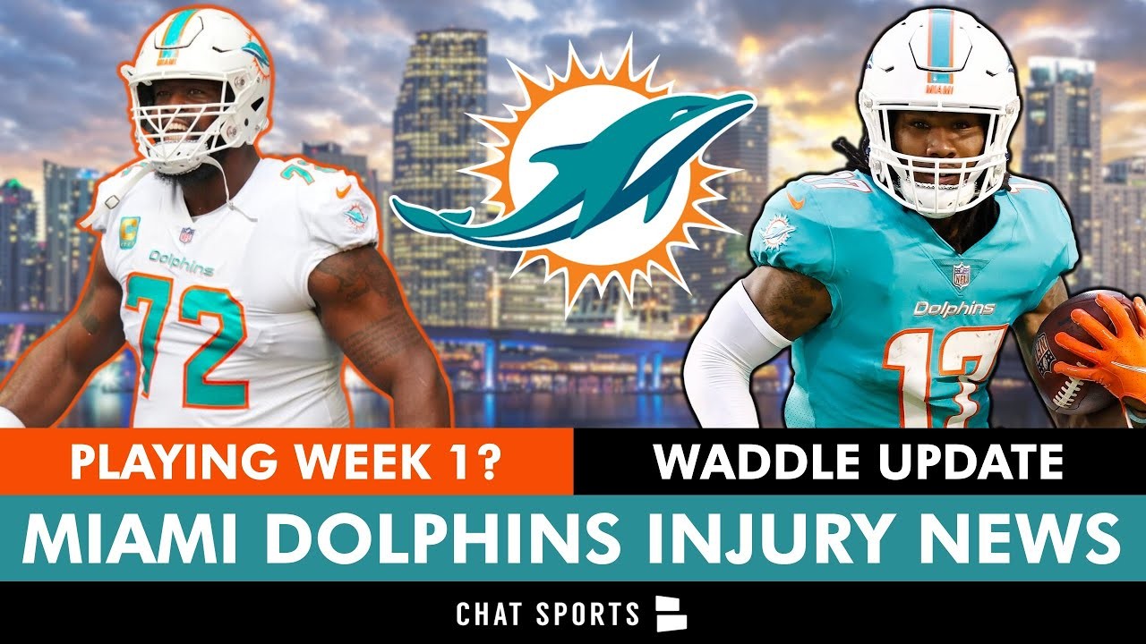 Dolphins Today by Chat Sports 