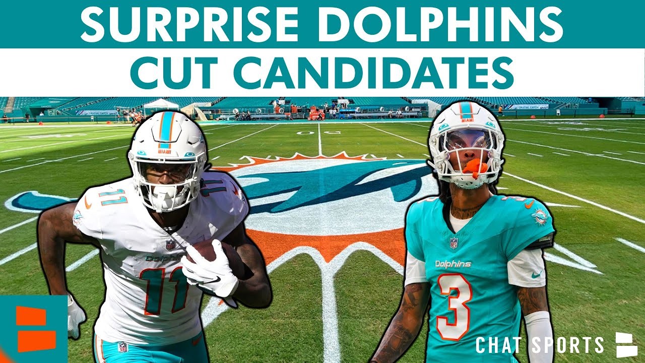 Dolphins Today by Chat Sports 