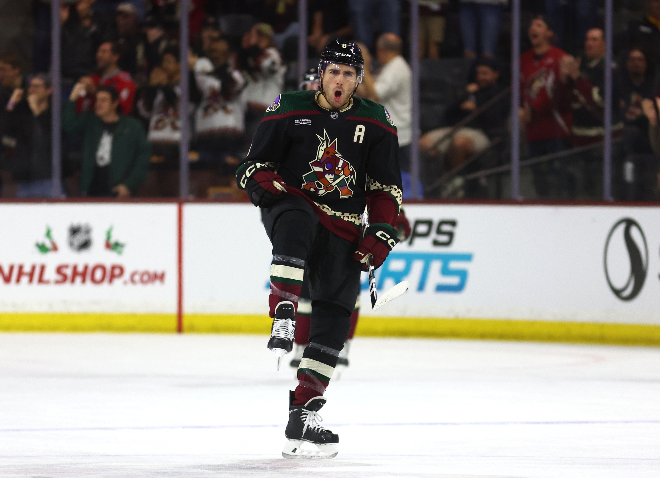 Nick Schmaltz And Jack McBain Return For Coyotes, Sean Durzi Remains ...