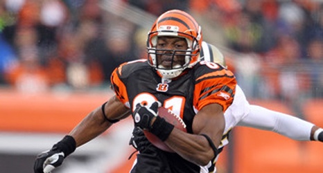 Cincinnati Bengals: Terrell Owens, Dez Briscoe and Other Fails in 2010, News, Scores, Highlights, Stats, and Rumors