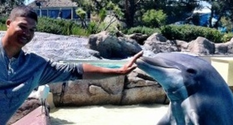Dolphin Zoo Porn - Your dolphin porn off-day photo and the origins of a GLB meme