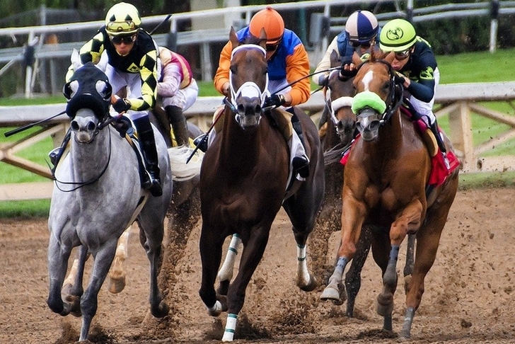 How To Bet On The Preakness