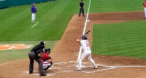 Clemson Baseball Tigers Blank Paladins