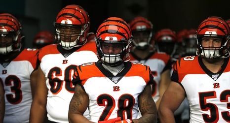 Cincinnati Bengals snap counts 2022 season - Cincy Jungle