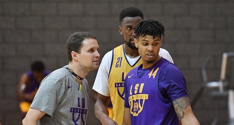 Tigers Host Open Hoops Practice