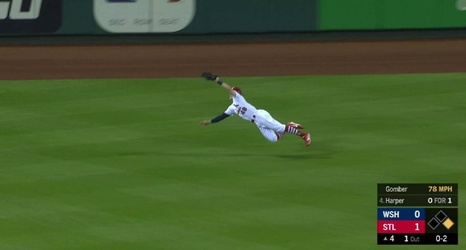 MLB: Harrison Bader takes 'beautiful' diving catch for St Louis