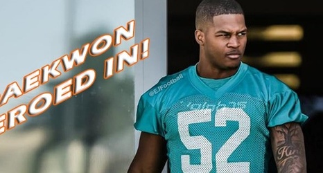 raekwon mcmillan miami dolphins jersey raekwon mcmillan miami dolphins jersey