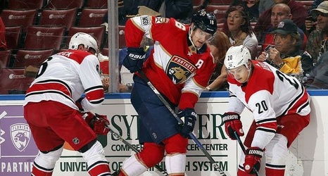 florida panthers black jersey