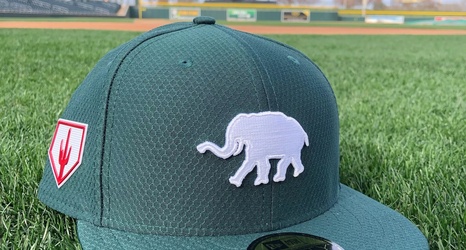 oakland athletics elephant hat