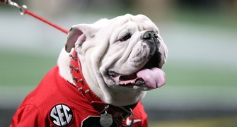 Georgia Bulldogs Football: News, Recruiting & Rumors