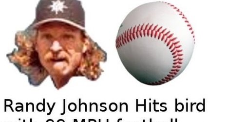 Randy Johnson's Photography Logo Pays Tribute to the Bird He Hit with Pitch
