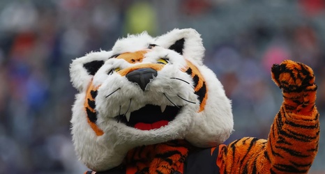 Report: Bengals expected to finish MNF game before Bills left town - Cincy  Jungle