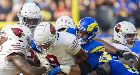 St. Louis Football Cardinals - Revenge of the Birds