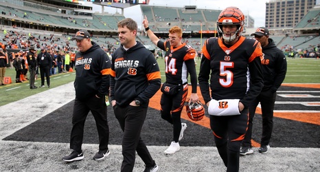 Photos: Cincinnati Bengals vs. New York Jets in NFL Week 13 action