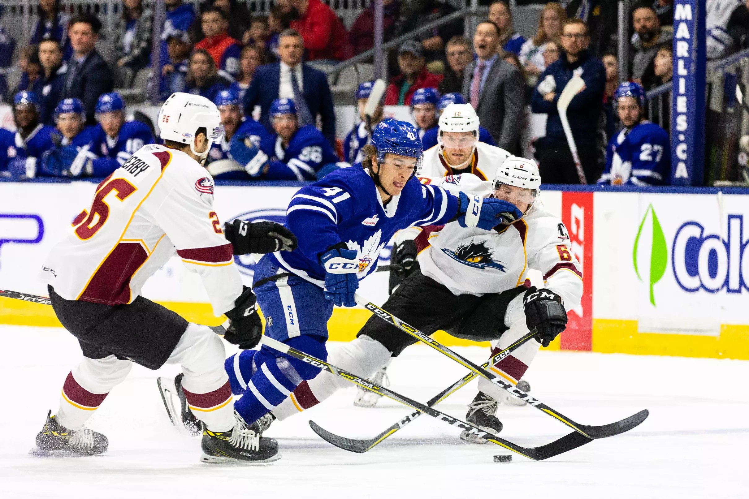 Toronto Marlies Round Two Preview: Cavalry has Arrived