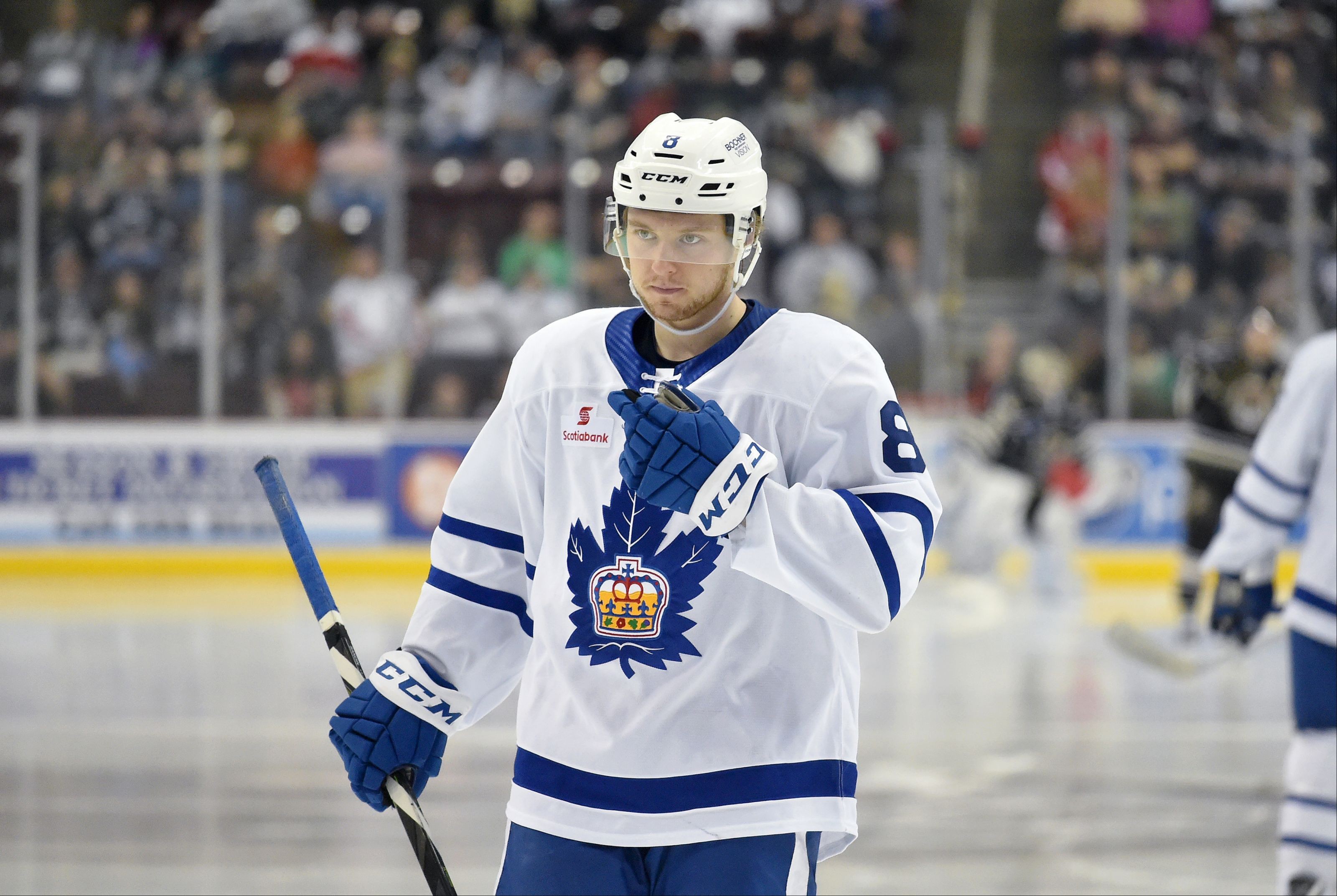 Toronto Maple Leafs: Rasmus Sandin Dominating in AHL So Far