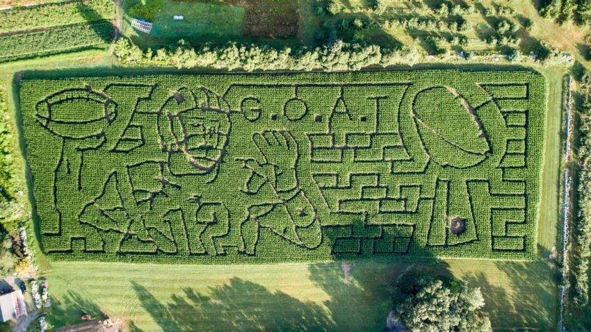 You can get lost in this Tom Brady-themed corn maze