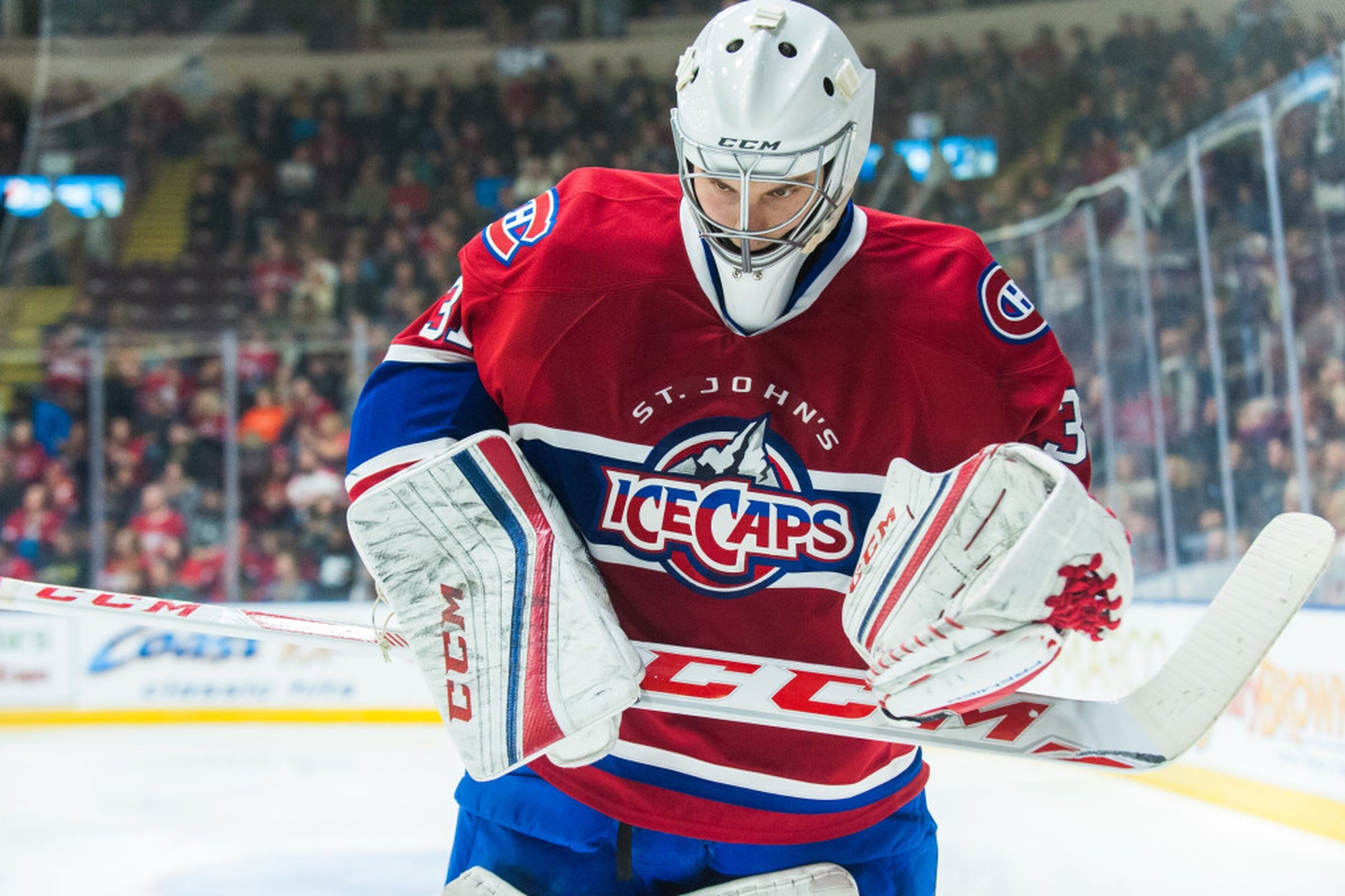 St. John's IceCaps Player Profile - Zachary Fucale