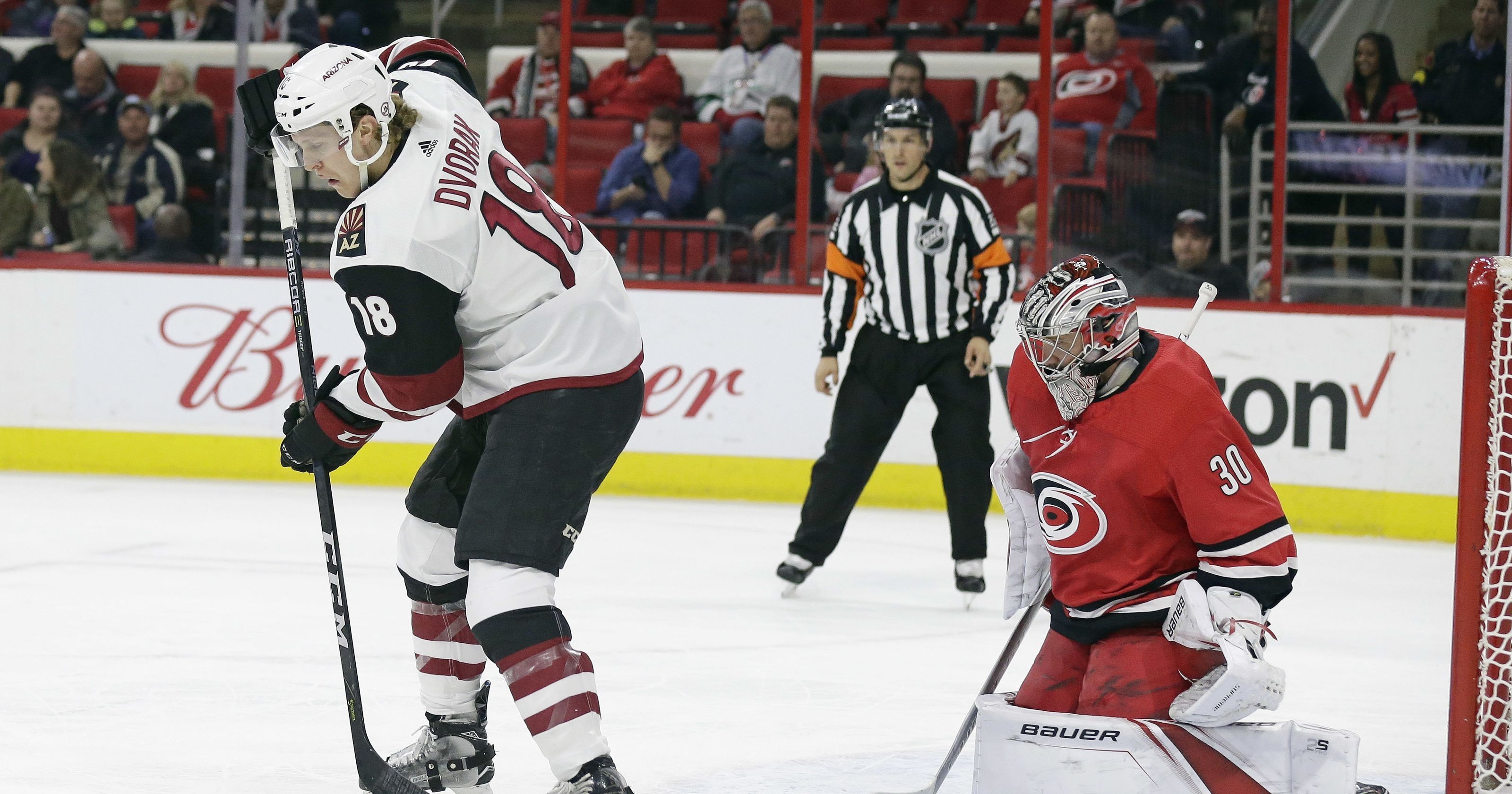 Carolina Hurricanes rally to beat Arizona Coyotes after giving up weird ...