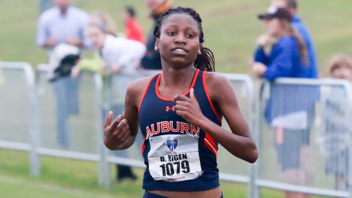 Auburn cross country heads to Bulldog SEC Preview