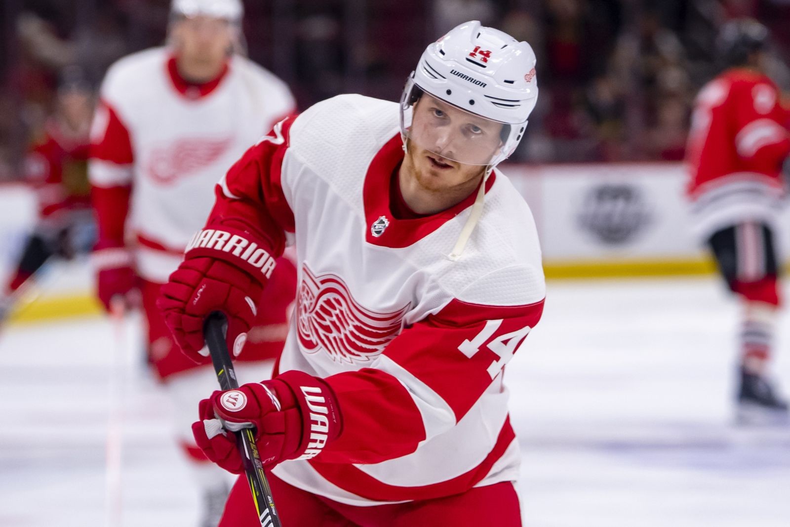 Detroit Red Wings: Gustav Nyquist is perfect for the Boston Bruins