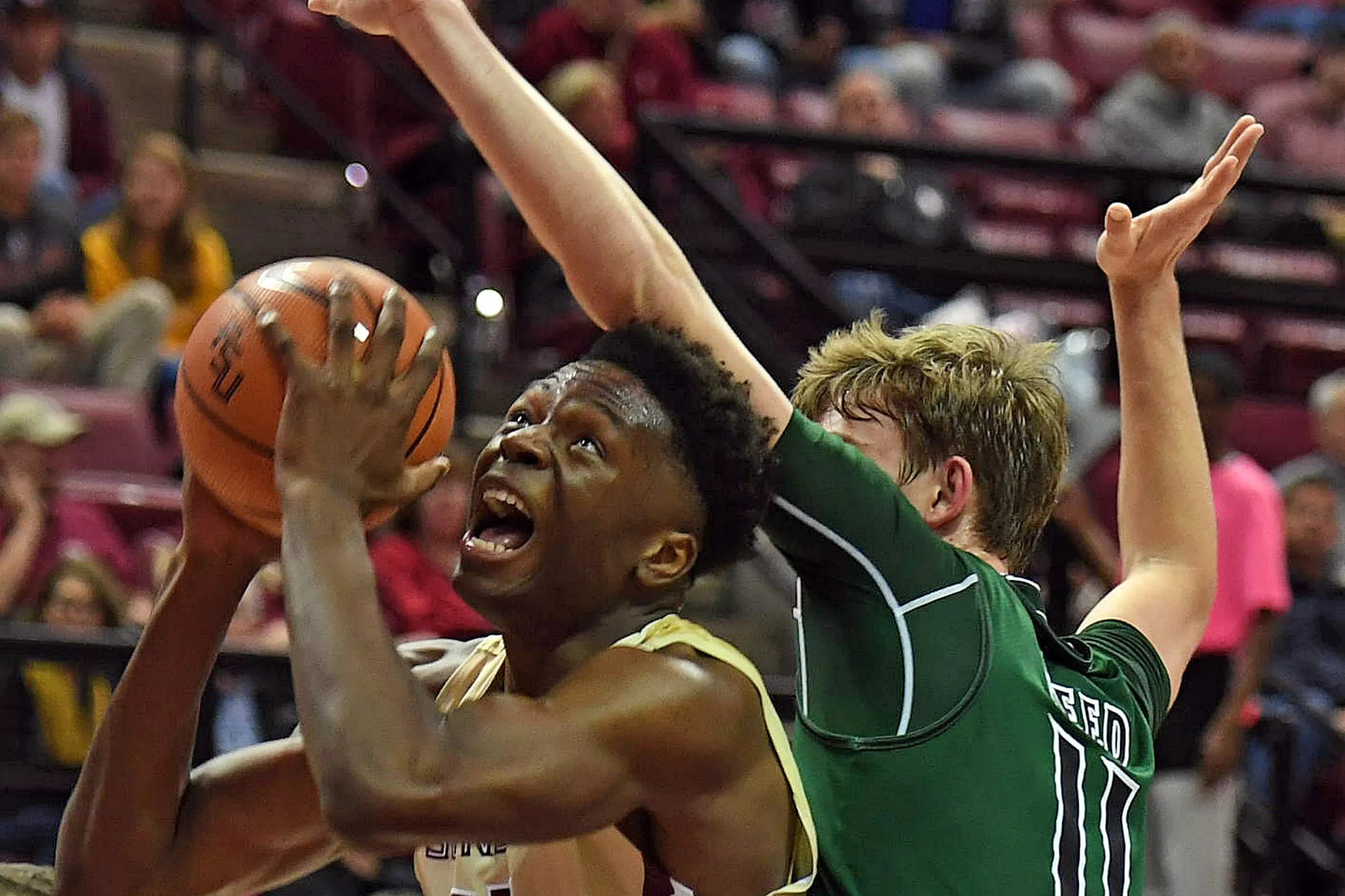 Sunday matinee: FSU basketball plays Tulane in Tampa