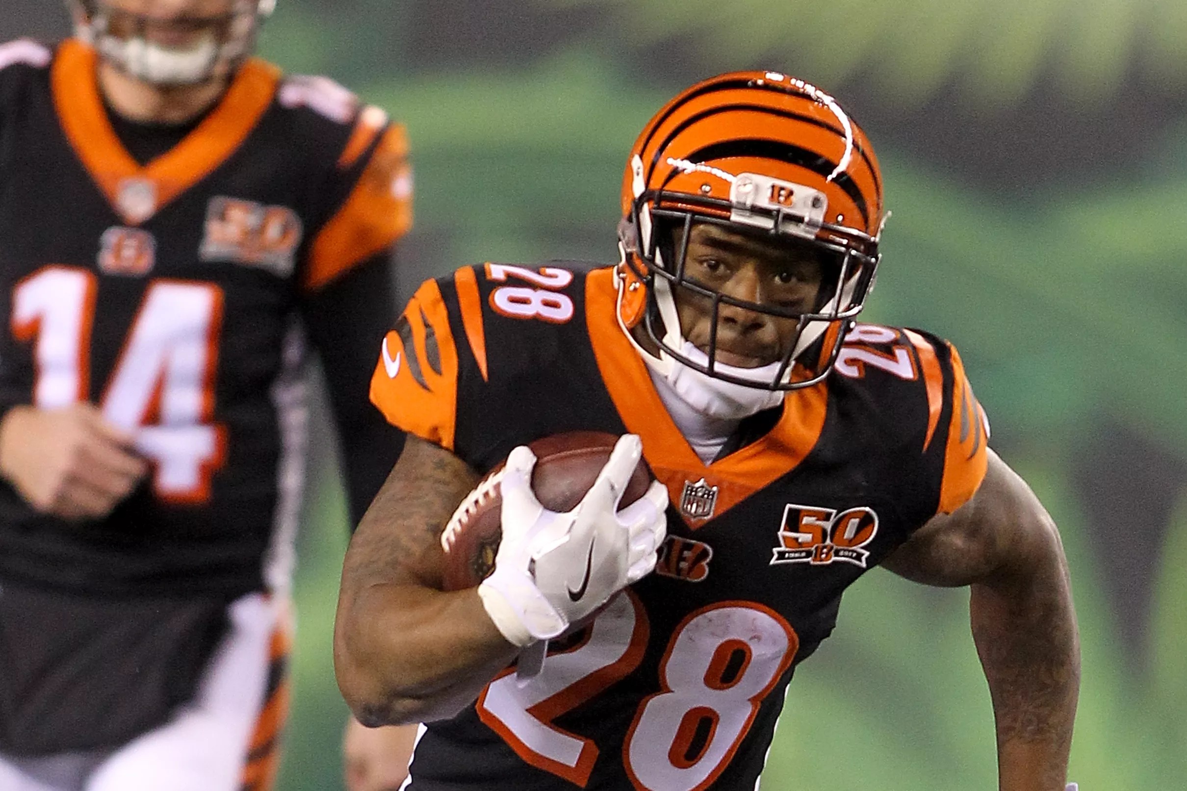 The Bengals have several young players who are on the doorstep of being ...