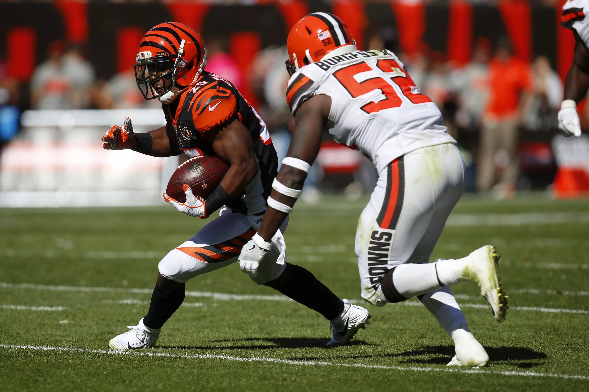 Browns vs. Bengals: NFL Week 12 Preview and Prediction