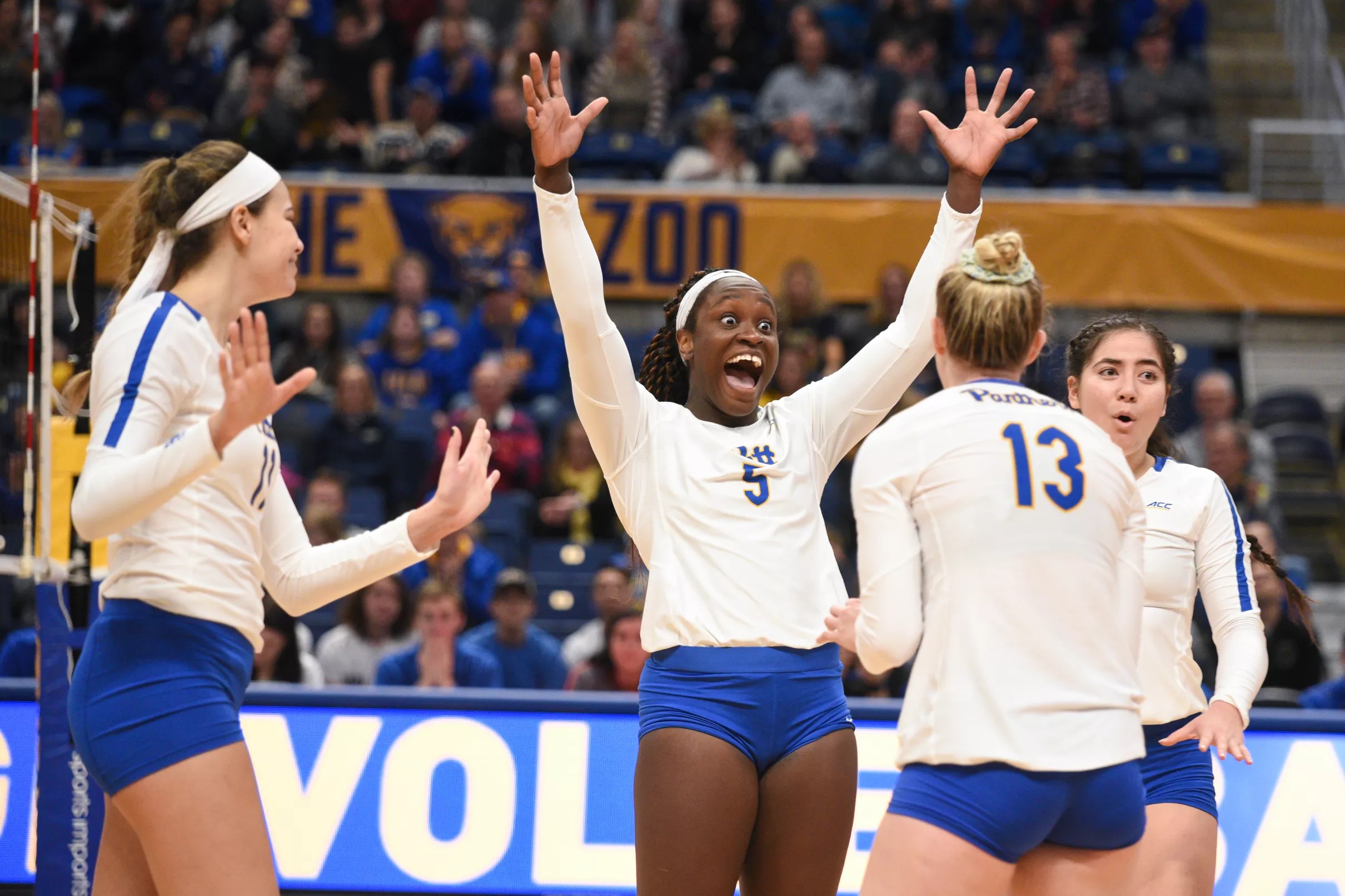 Pitt Volleyball Vs FSU Photo Gallery