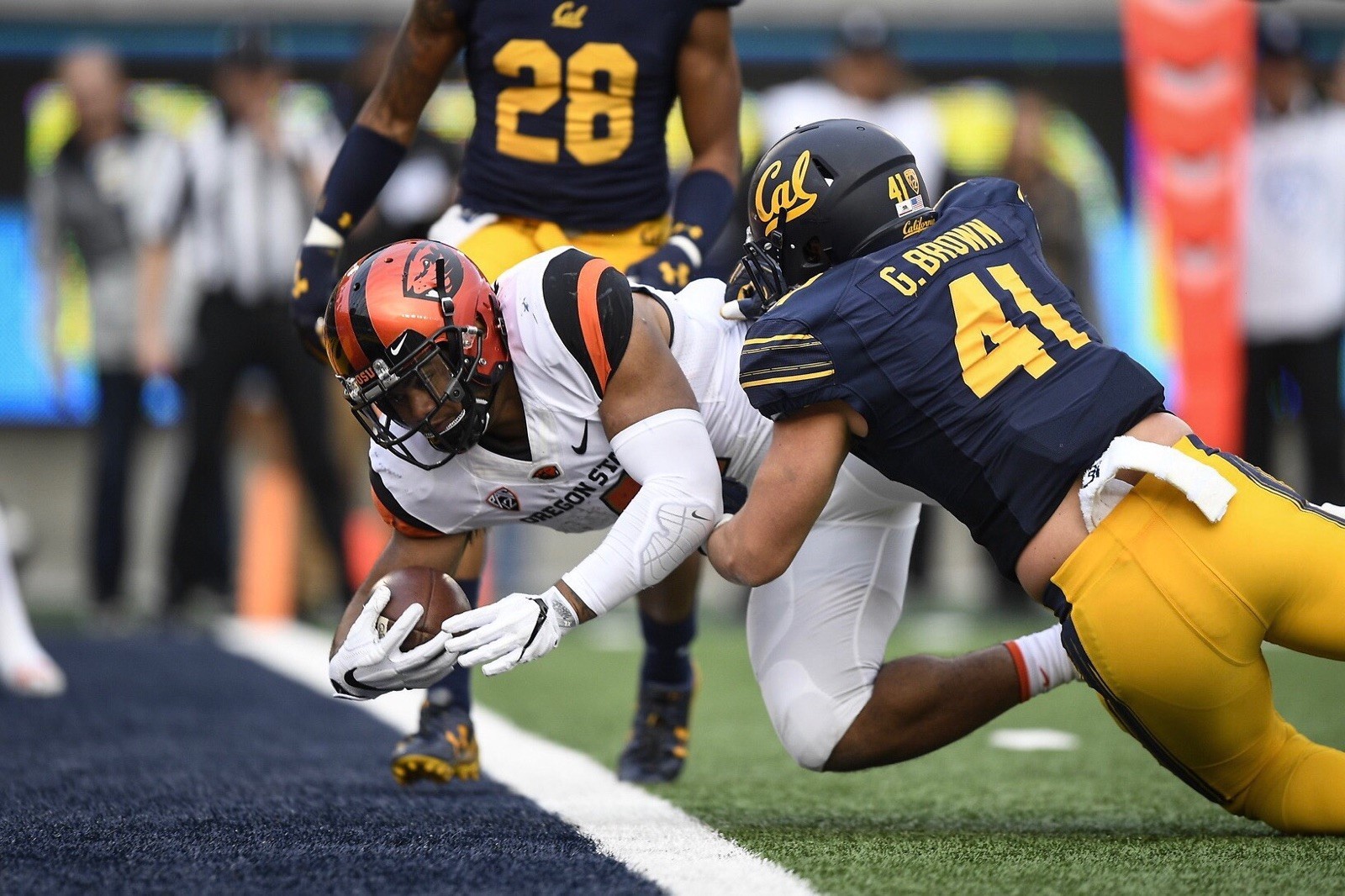 Beavers Suffer Loss to Cal