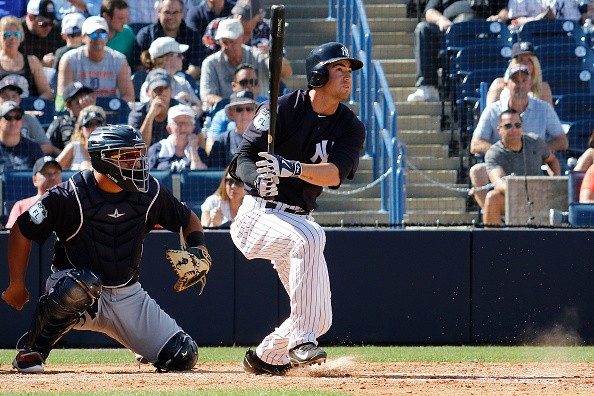 Yankees minor league update: June 19th