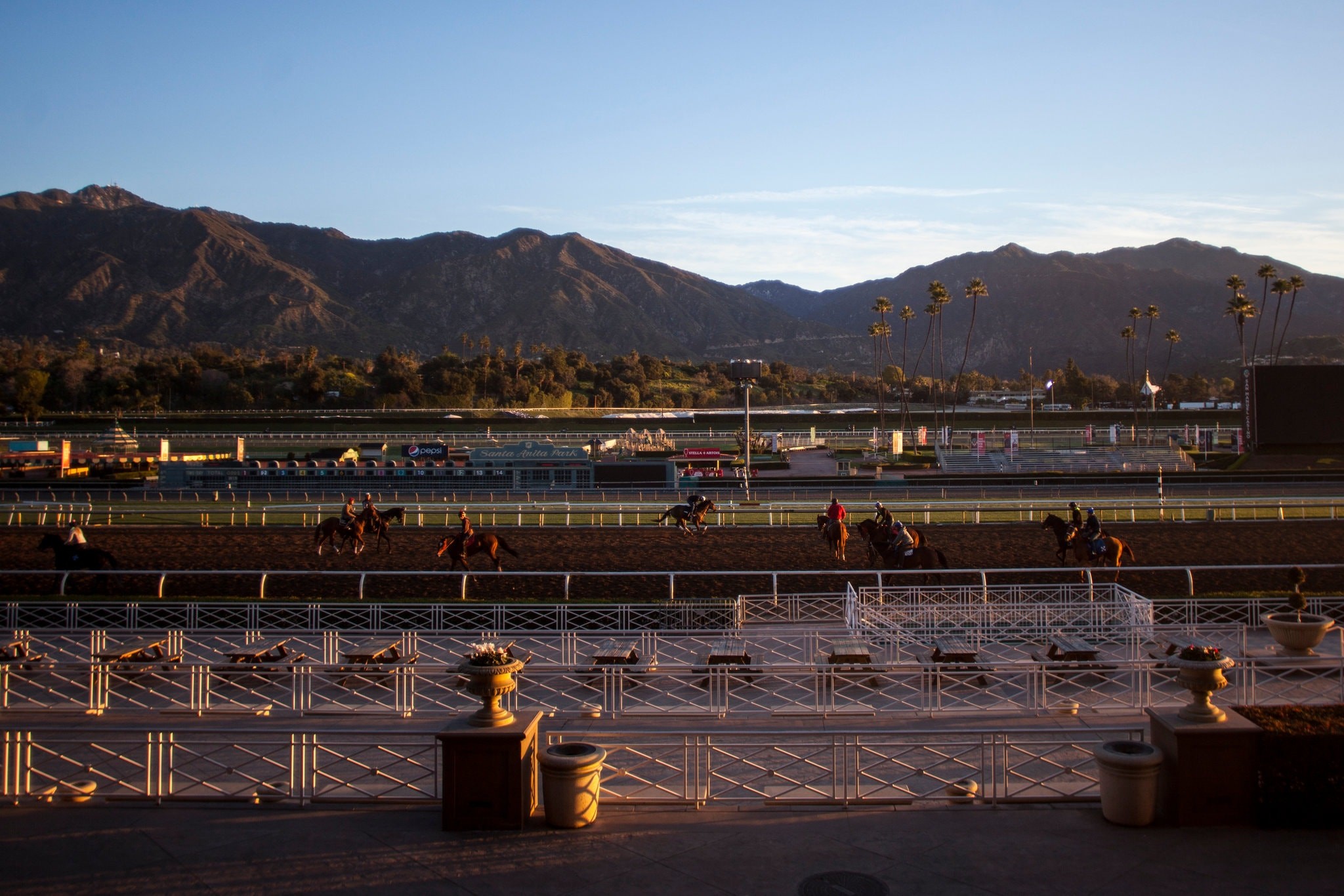 27 Racehorses Have Died at This Track Since Dec. 26