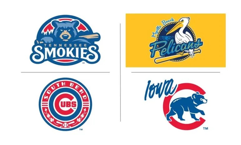 Cubs Minor League System Could Look Very Different Next Season as ...