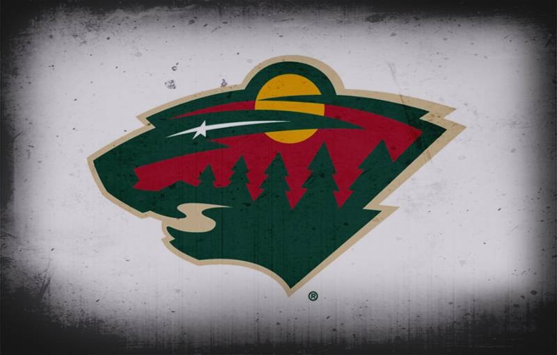 2019-20 Top 10 Minnesota Wild Prospects