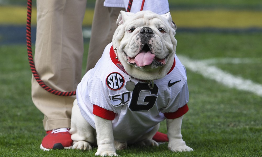 Former Alabama football player believes in the Bulldogs